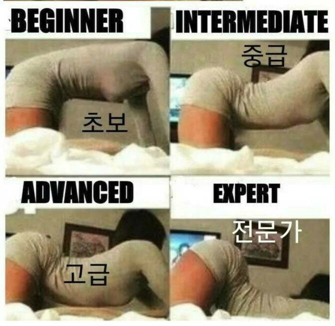 bt21bcf978c285e134d46e7110d3a42586.jpeg